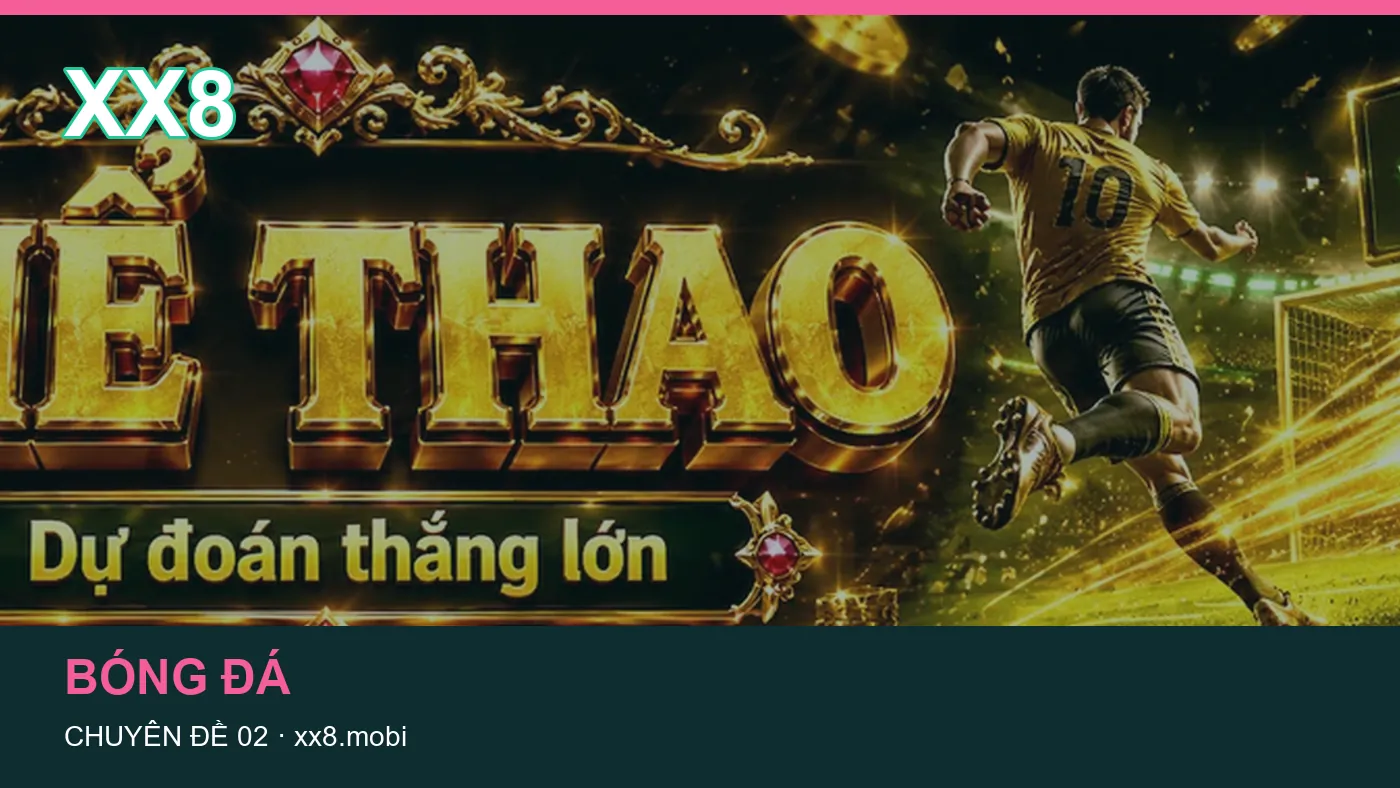 Hỏi đáp về Dữ liệu trận đấu: quy trình tự kiểm tra trên XX8 | xx8.mobi