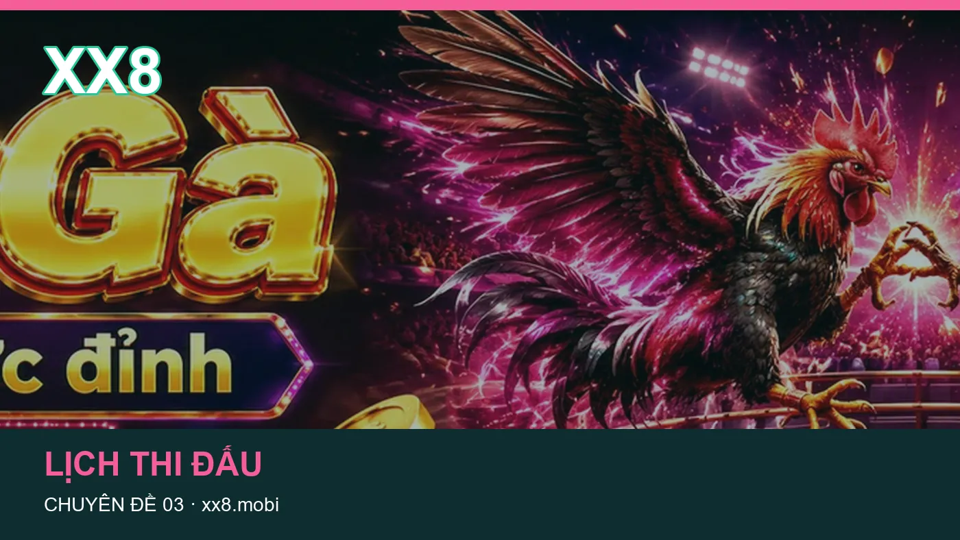 Hình minh họa bài viết XX8