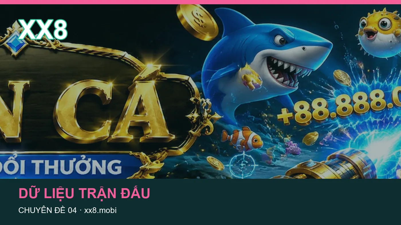 Hình minh họa bài viết XX8