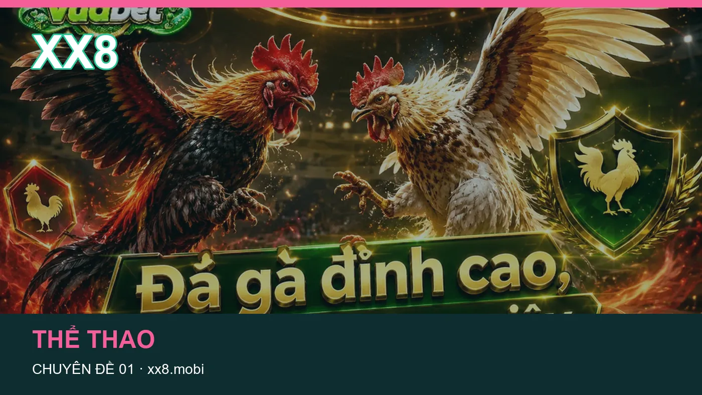 Những nhầm lẫn thường gặp khi đọc nội dung Hỏi đáp trên XX8 | xx8.mobi