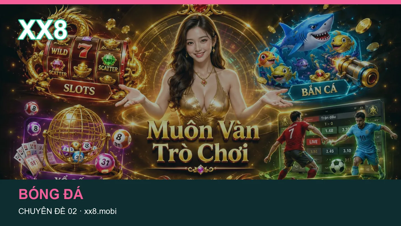 Hình minh họa bài viết XX8